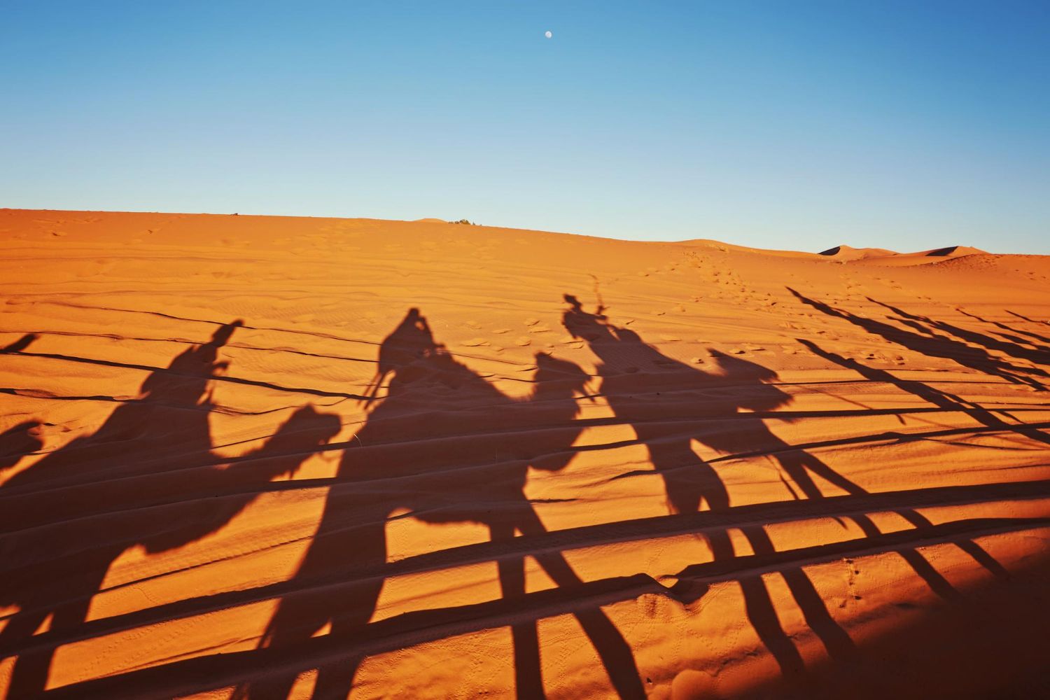 LO QUE ESTÁ INCLUIDO