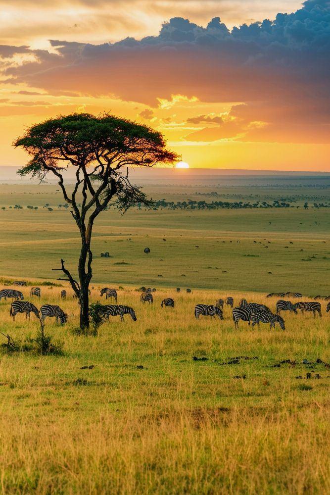 ¿Y SI UGANDA SE PRESENTA EN TU VIDA?