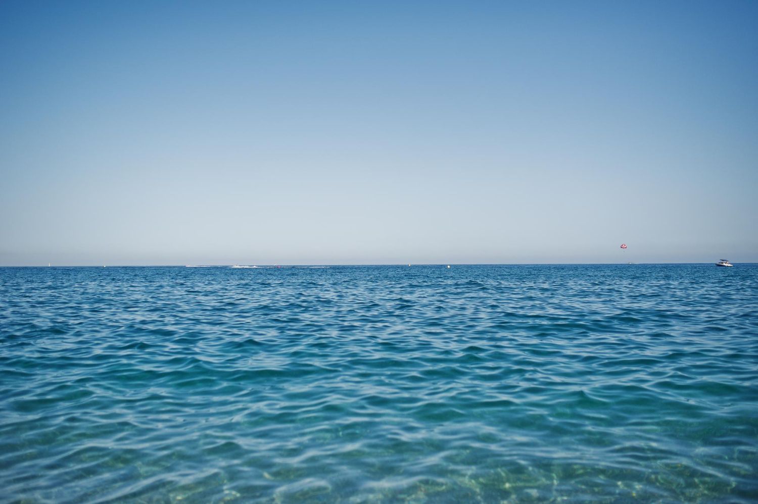 Presencia y Conexión en el Mar