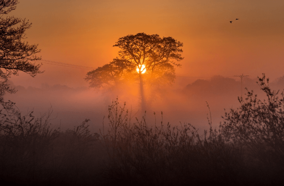 Uganda